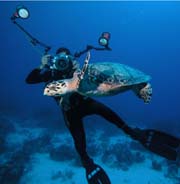 Fran with turtle in the Bahamas